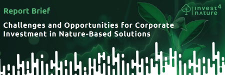 This brief presents insights from interviews with European companies examining their experience in integrating NbS into their practices and navigating the sustainability regulation landscape