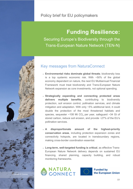 Policy Brief