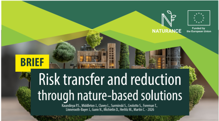 The project explored opportunities and barriers to the use of nature-based solutions (NbS) in insurance and investment, and was conducted in collaboration with insurance industry experts, knowledge partners, and other relevant stakeholders through Innovation Labs