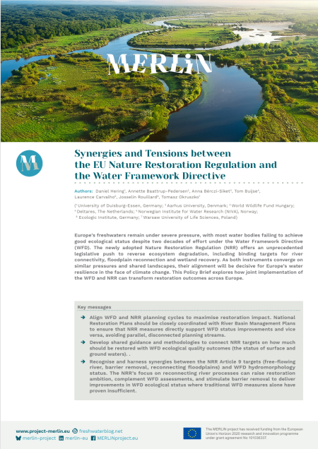 Policy Brief