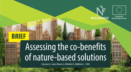 This brief presents an improved, evidence-based approach to quantifying and monetising the co-benefits of Nature-based Solutions. The aim is to enable more accurate valuations that can guide and encourage wider use of these solutions.