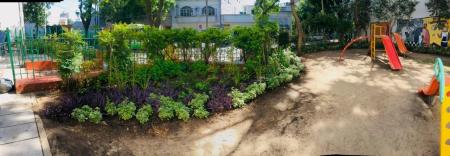 A living fence in a play area in Buenas Aires.