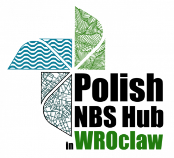 Polish nbs hub logo