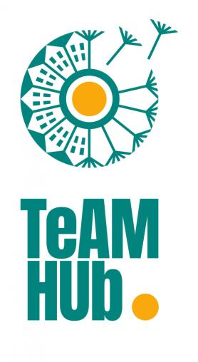 Team hub logo