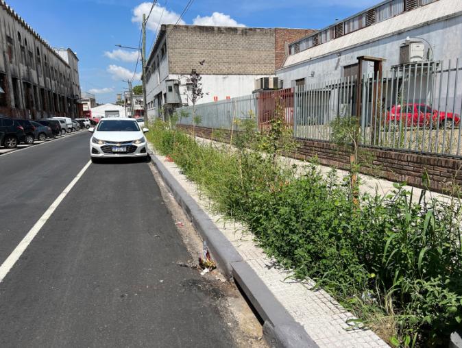 FR jardin de illuviation