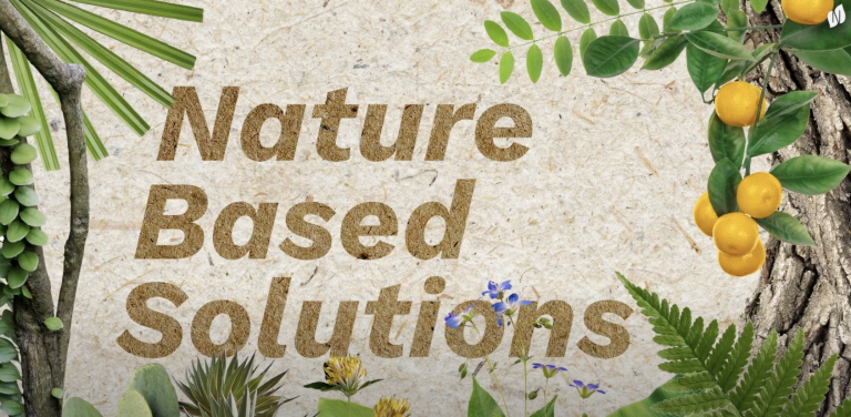 what are nature based solutions network nature video