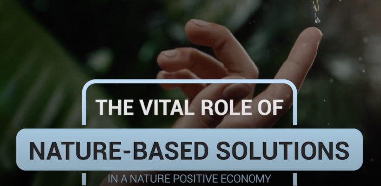 the vital role of nature-based solutions