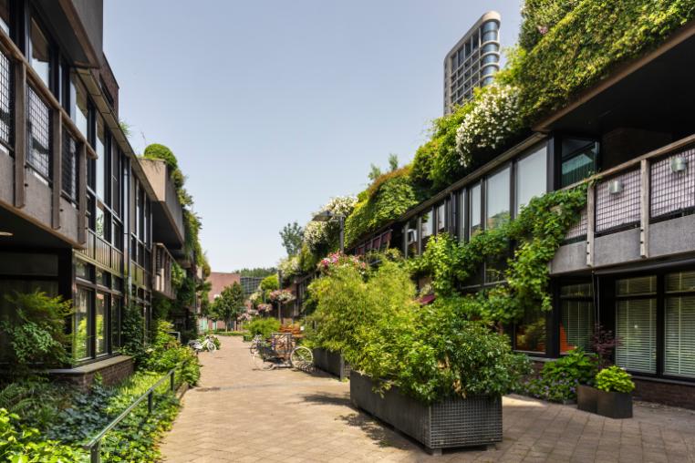Street with greenery and planters, Eindhoven, The Netherlands 