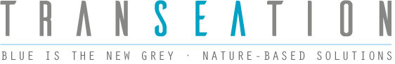 TRANSEATION project logo