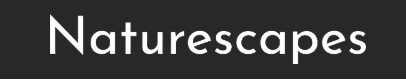naturescapes logo white text brown background