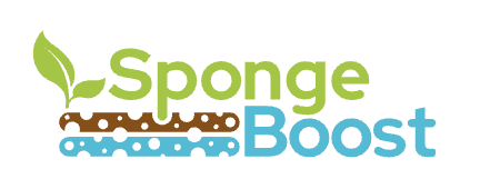 sponge boost logo with green shoot 