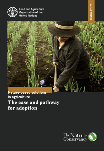 the case and pathway for adoption - page cover