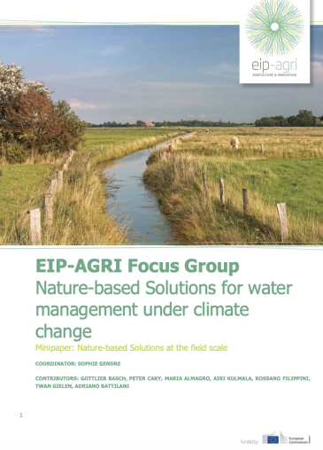 nayure-based solutions for water management under climate change - picture of freshwater stream with grassy banks and blue skies