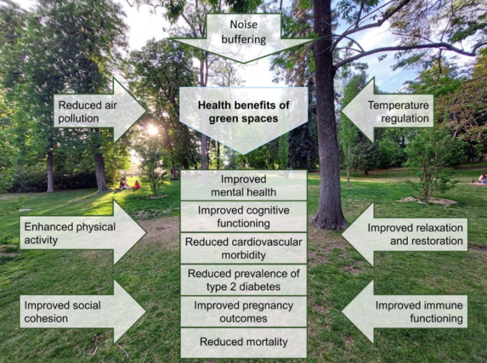 diagram showing health benefits of green spaces on sheer white arrow text boxes with natural landscape behind