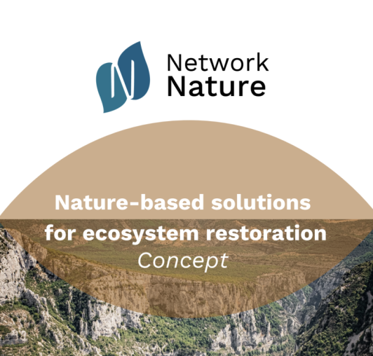 nature-based solutions for ecosystem restoration