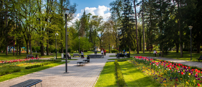 biodiversities green space - park with concrete path