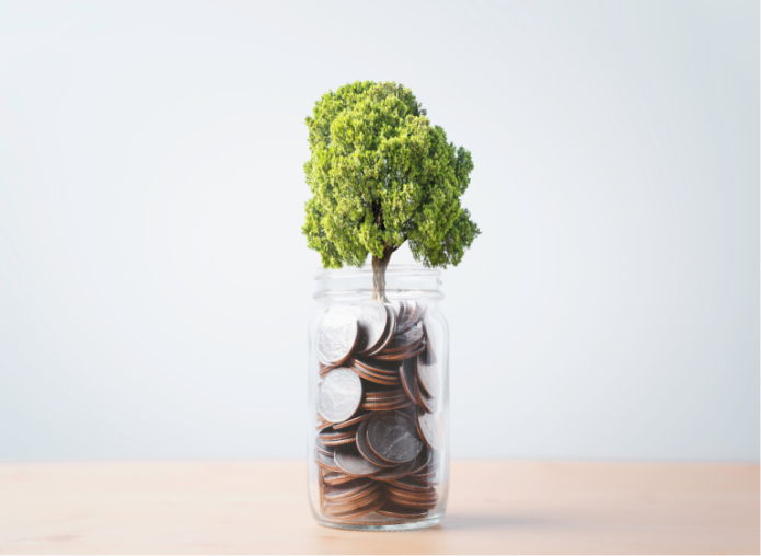 tree inside glass jar with pennies