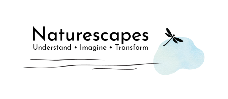 naturespaces logo - cloud with dragon fly