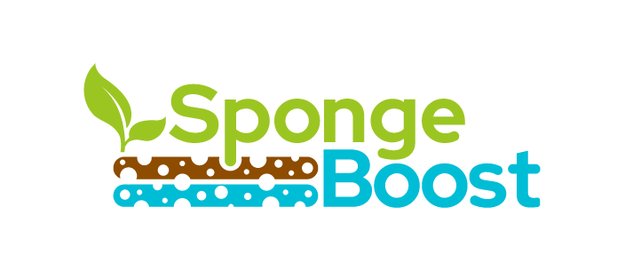 SpongeBoost logo - layer of brown and then blue with plant growing out of it 