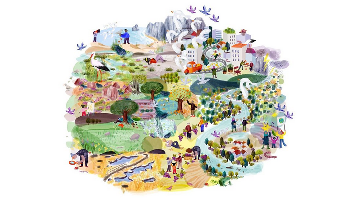 NN NbS Collage of different NbS environments and interventions