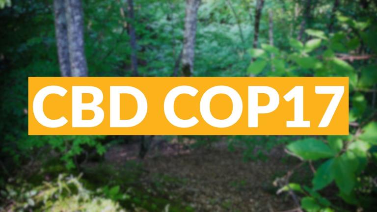 CBD COP17