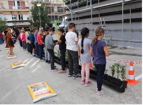 Co-implentation activity