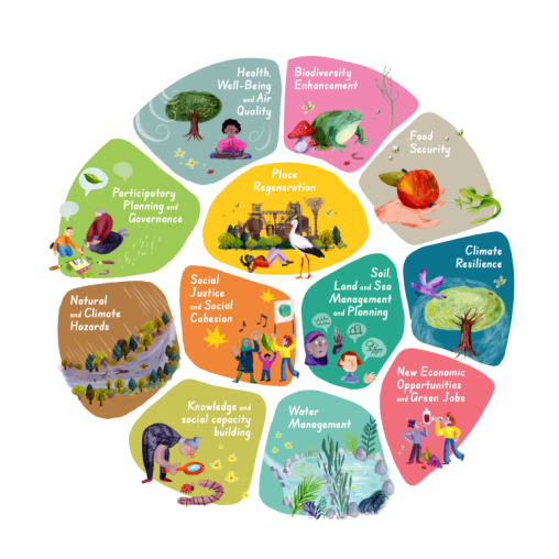 The 12 societal challenges that nature-based solutions can address