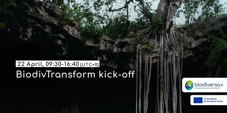 Kick-off of the BiodivTransform funded research projects