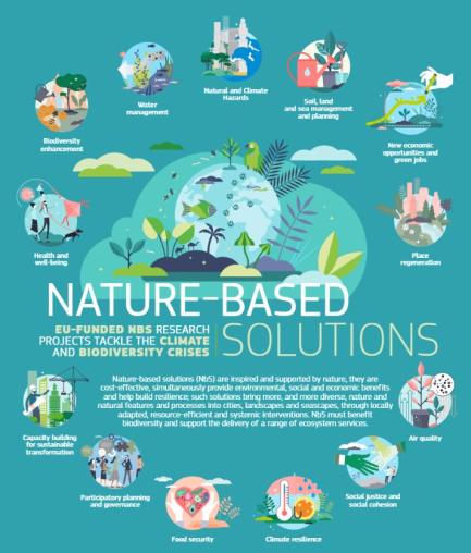 NbS Project List - REA