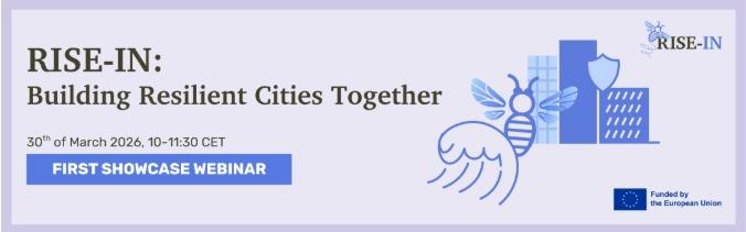 Light pink background with session title: "RISE-IN Building Resilient Cities Together"