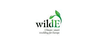 wilde logo