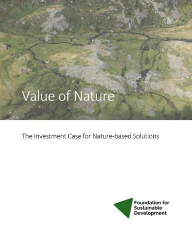 cover of the report