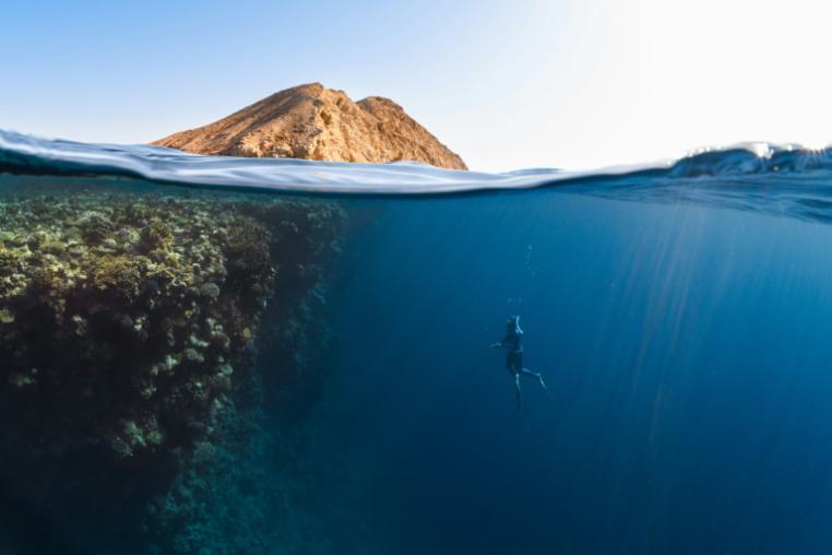 From Whale AI to Interspecies Councils: 11 Explorations in Co-Creation