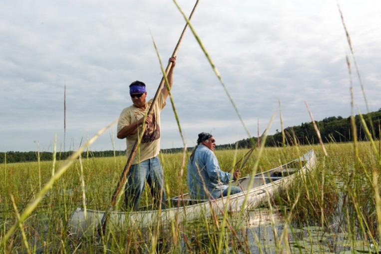 Join our 14th learning session featuring Rights of Nature by Tribal and First Nations, taking place on Wednesday, June 10, at 6 pm CEST | 5 pm BST | 12 pm EDT | 9 am PDT | 9:30 pm IST (Co-creation with the More-than-Human sandbox).
