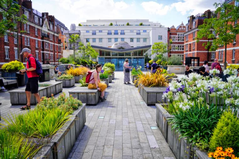 GoNP! Nature-Positive Pioneer Community (Cities)