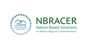Logo of NBRACER project
