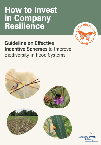 How to invest in company resilience: Guideline on effective incentive schemes to improve biodiversity in food systems