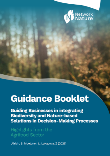 Booklet Title Page with forest background