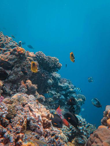 underwater