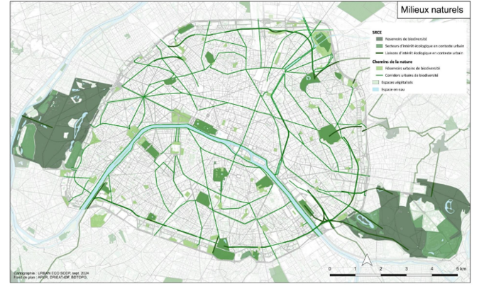 Paris Plub