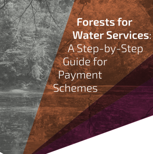 forests for water services a step by step guide