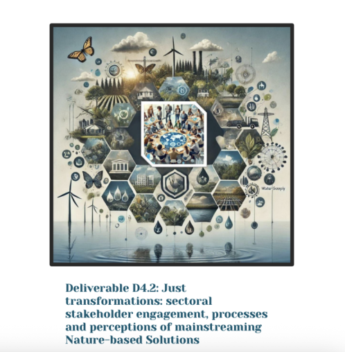 Mainstreaming aquatic restoration using Nature-based Solutions report cover 