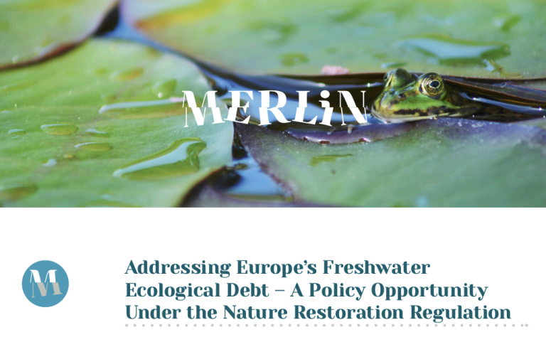 addressing europe's freshwater ecological debt