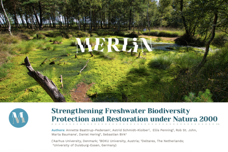 strengthening freshwater biodiversity protection under natura 2000 cover