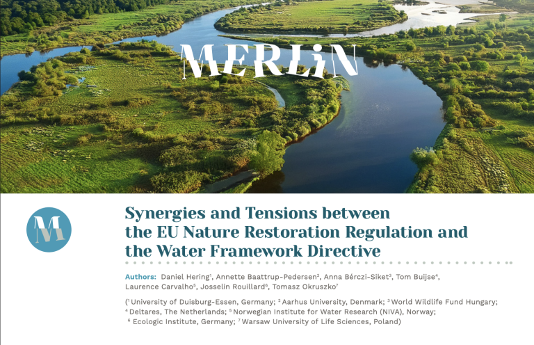 synergies and tensions between the EU nature restoration regeneration and water framework directive