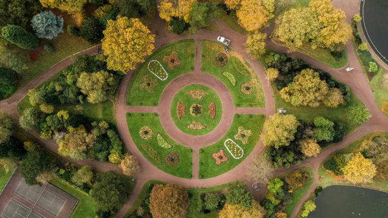 Aerial view of forest in circular shape