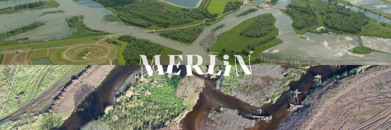 merlin banner 