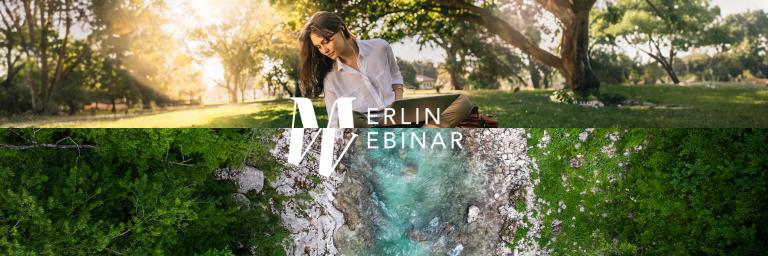 merlin header image 