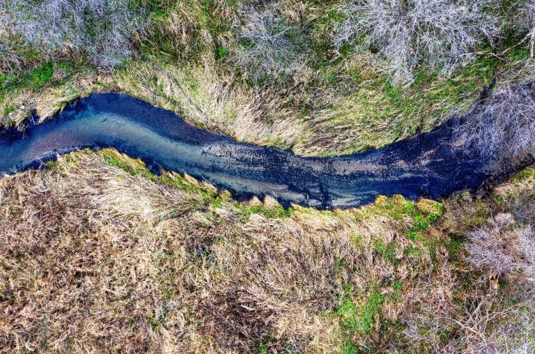 Aerial view of a river going through a forest