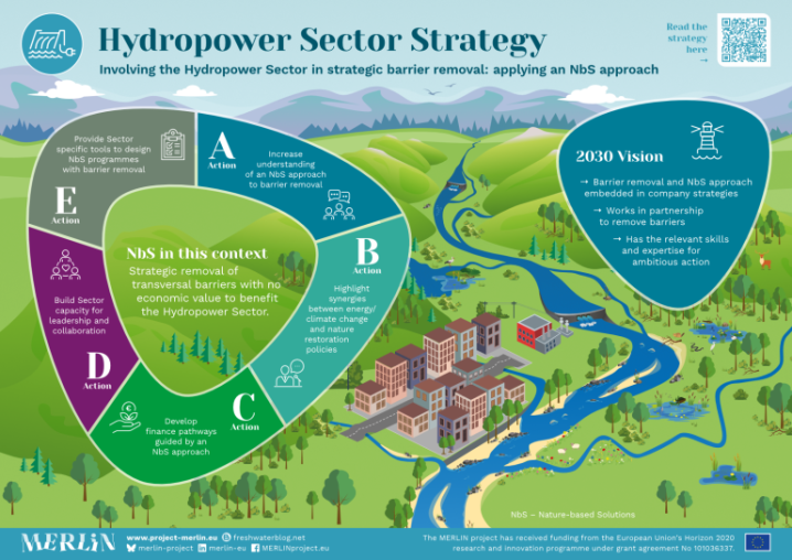 hydropower sector strategy poster